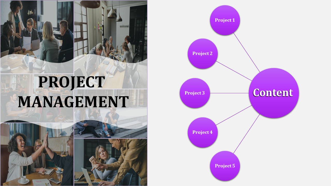 Free - Portfolio Best Project Management PowerPoint Template